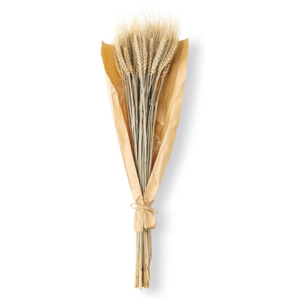 Tige Fleur Séchée Spike Enveloppée Papier Kasa