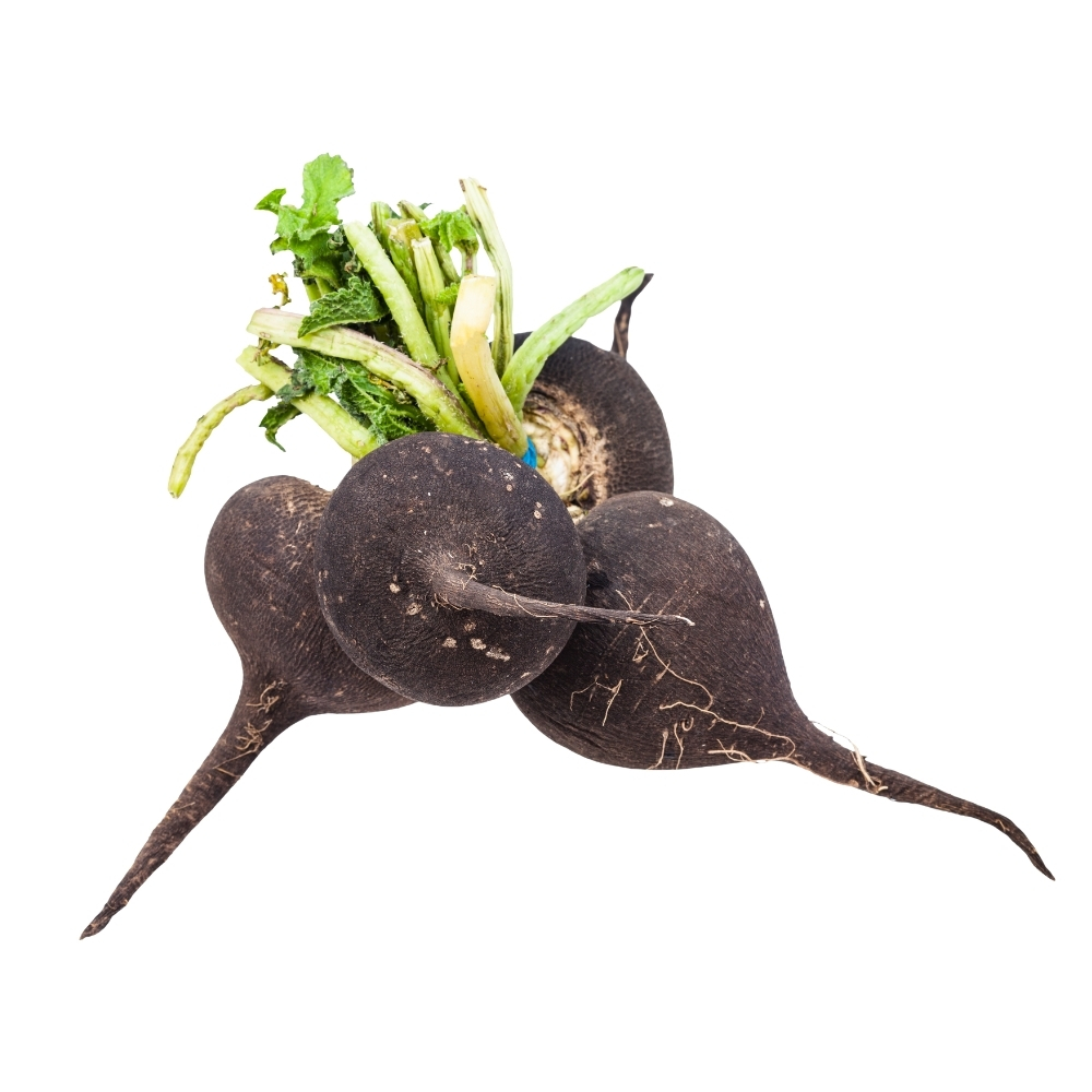 [382630] Radis Noir 250g
