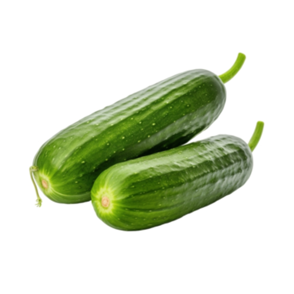 Concombre Spécial 500g