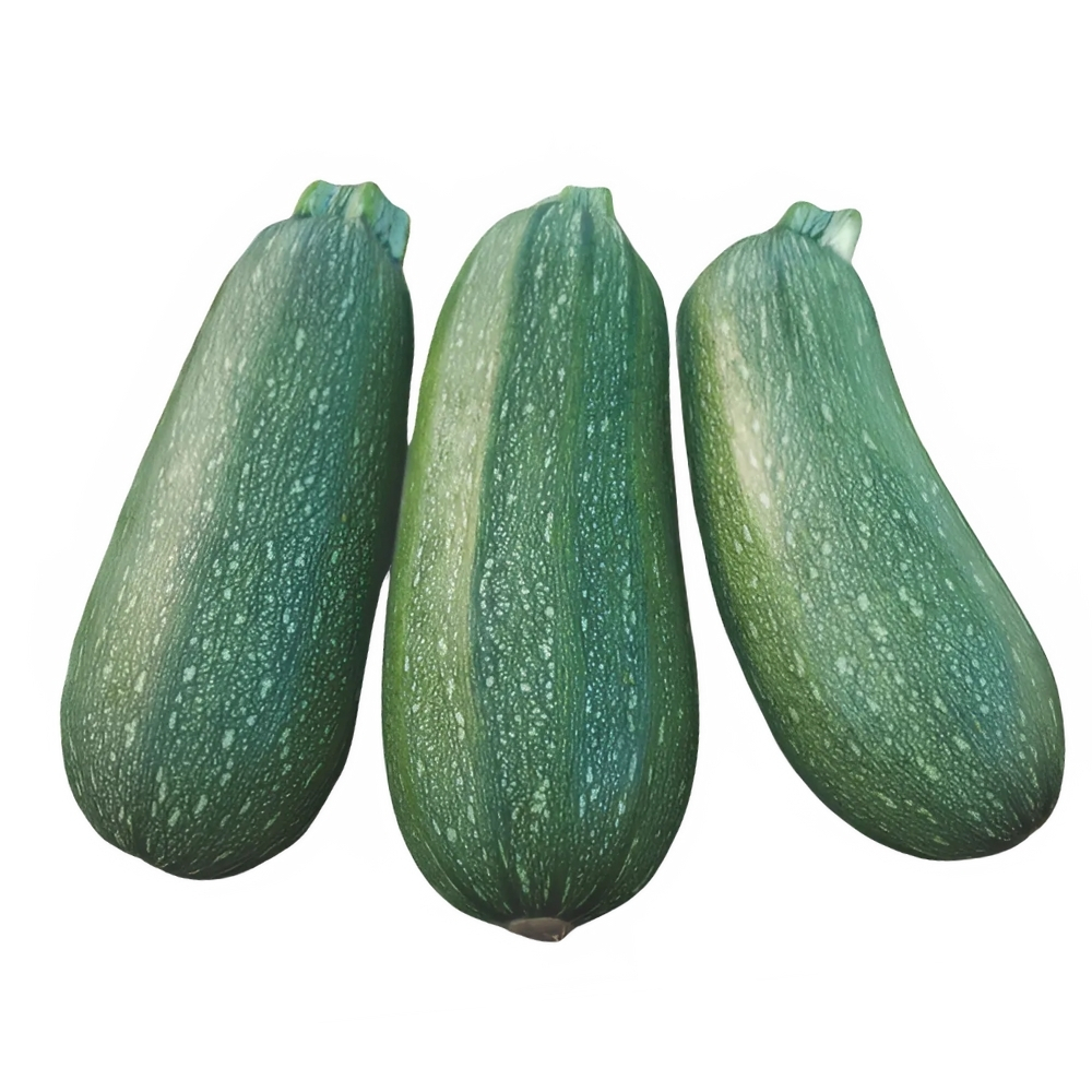 Courgette Verte Allongée 500g