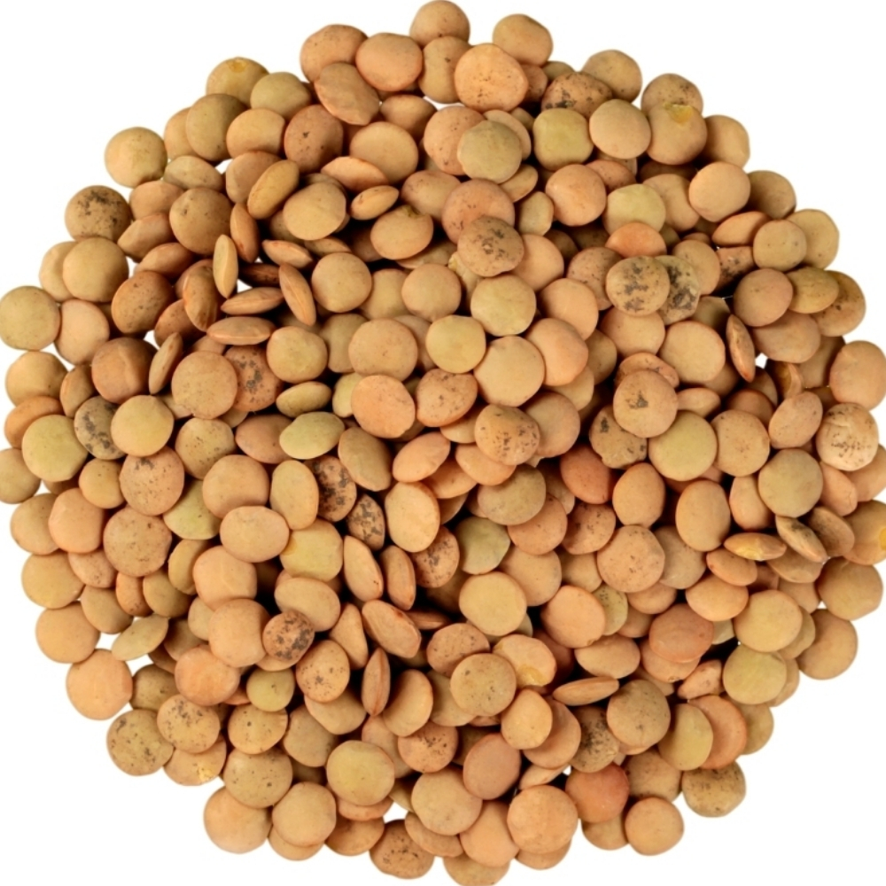 [596747] Lentilles Normales 250g