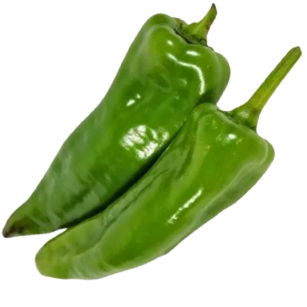 [670322] Poivron Vert Long en Barquette 500g