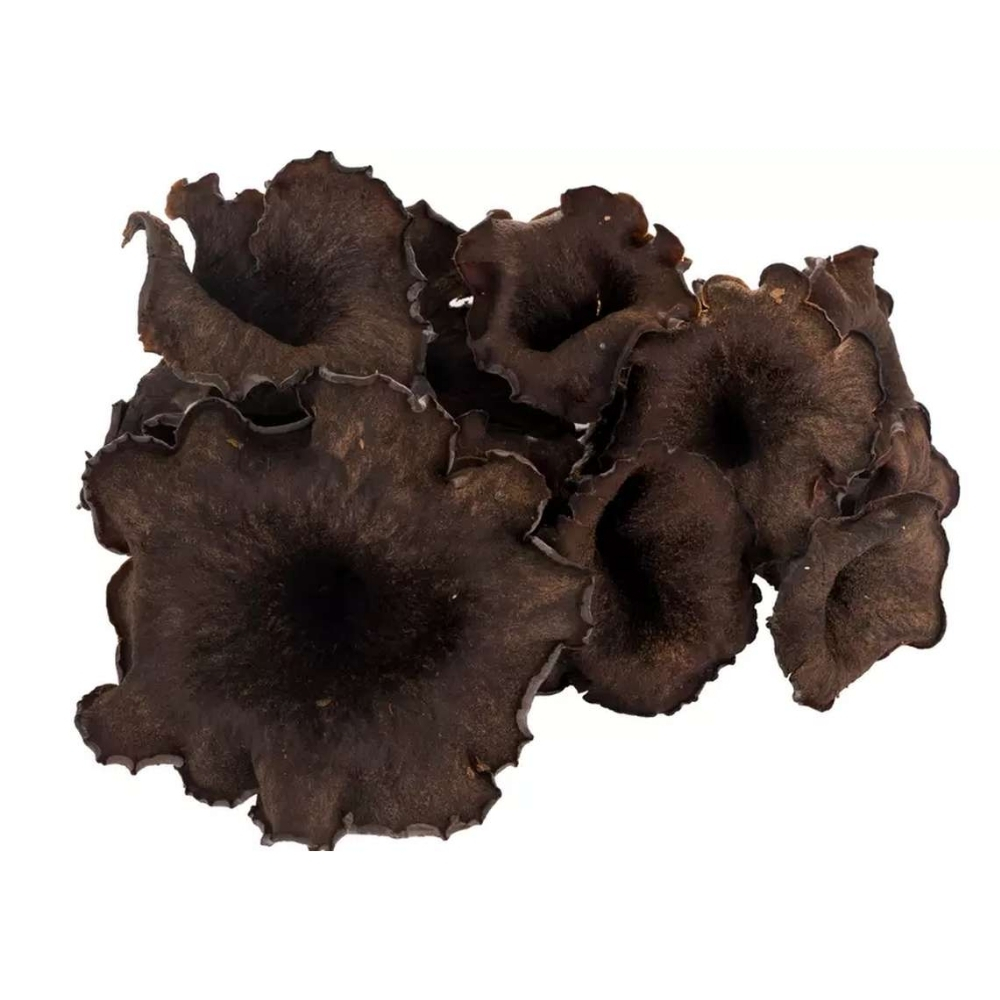 [425407] Trompettes de La Mort Fraîches Extra 200g
