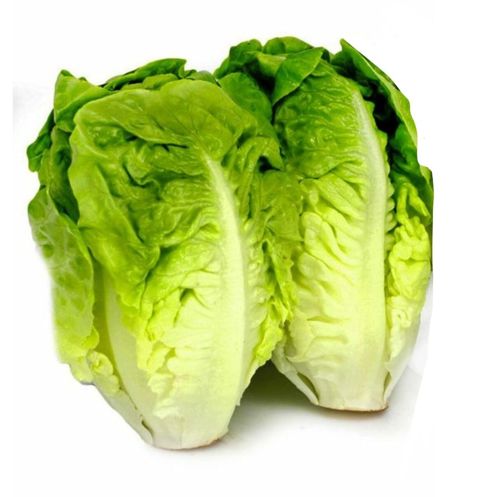 [699614] Cœur de Sucrine Bicolore 2 pièces