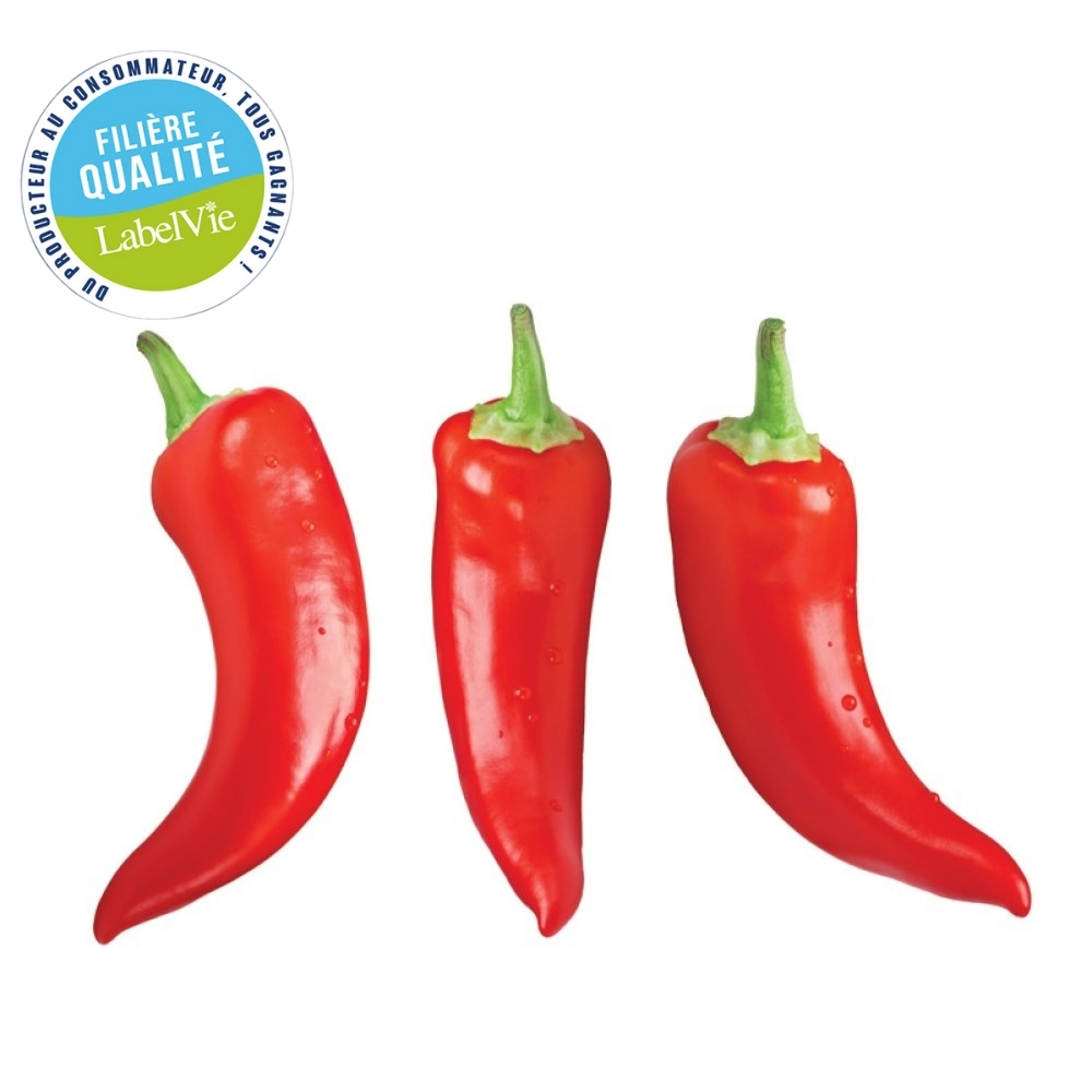[725122] Poivron Rouge Kappy 500g - Filière Qualité