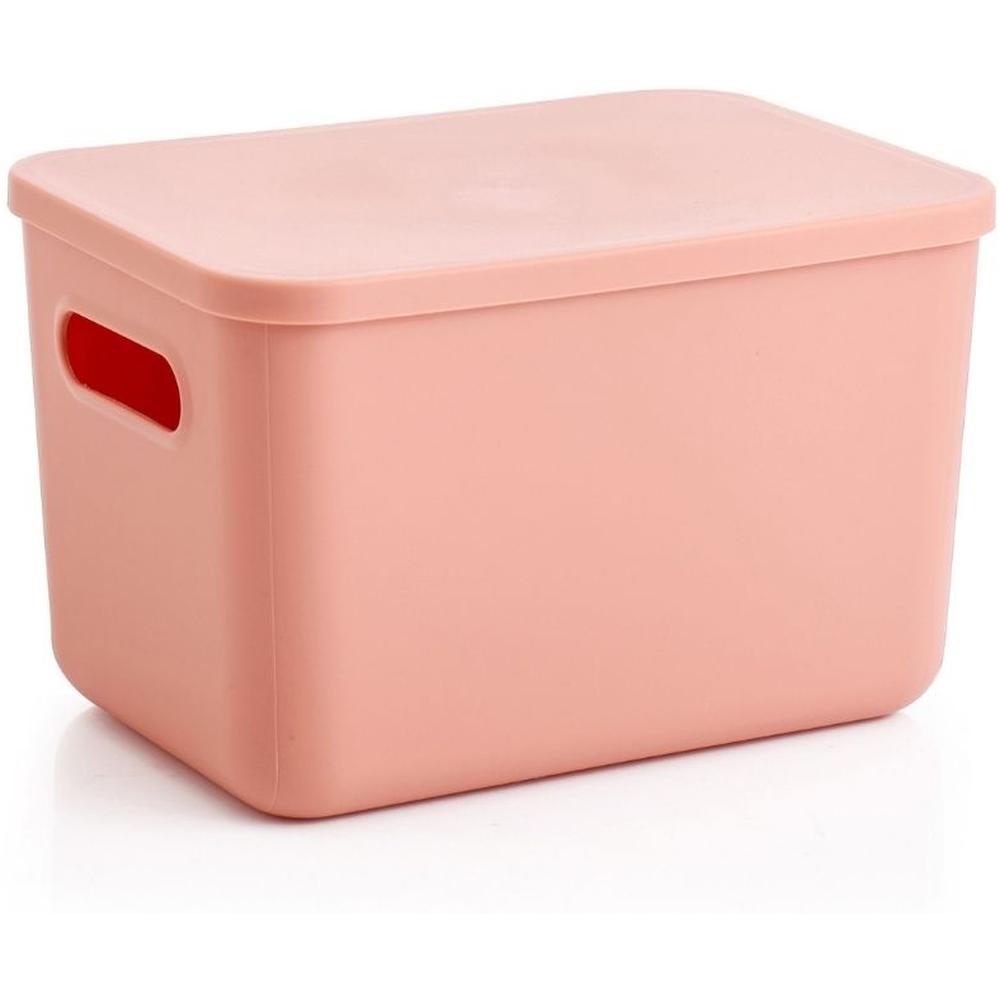Boîte de Rangement Saumon avec Couvercle Kasa 25x18x16cm