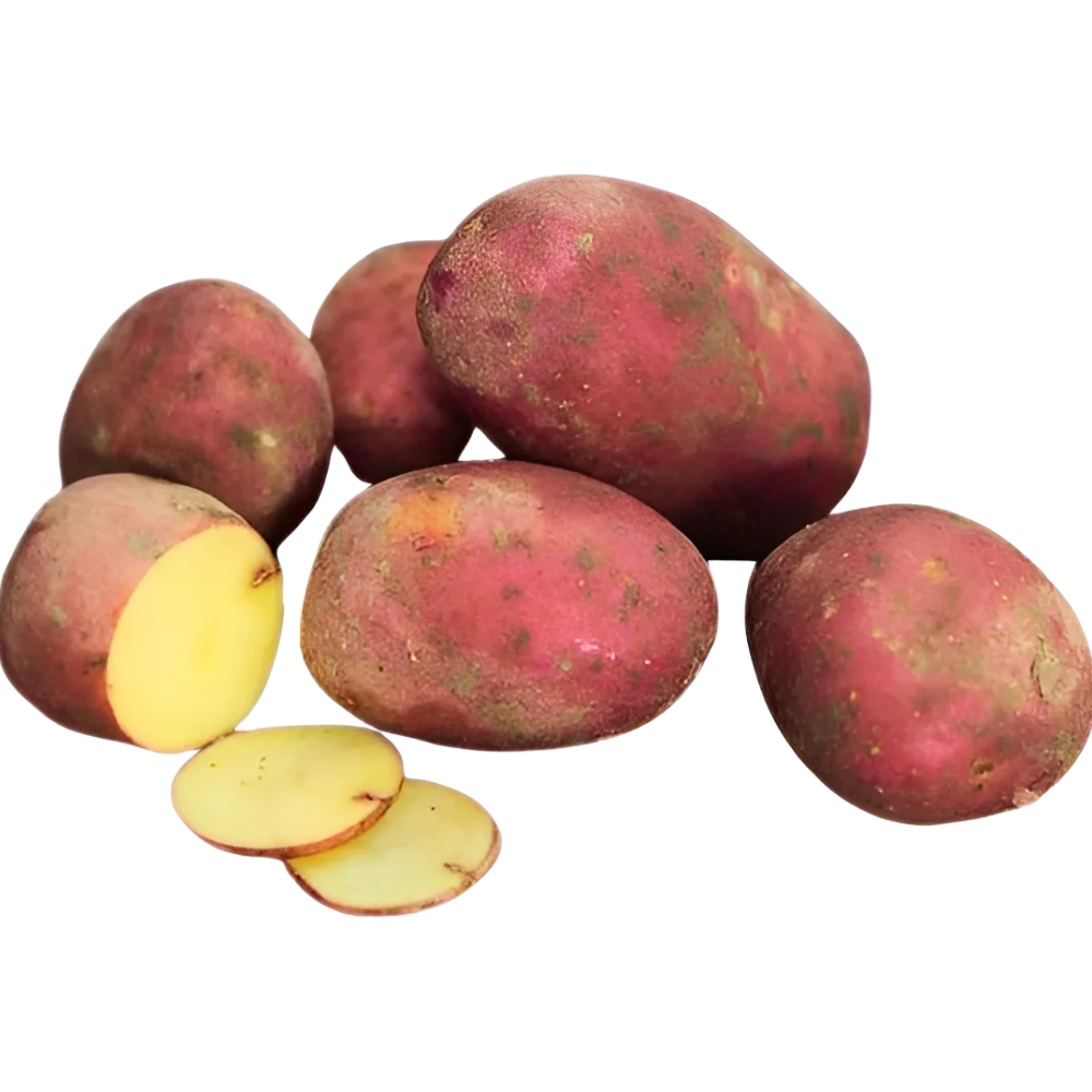 [627401] Pomme de Terre Rouge Terreuse 500g