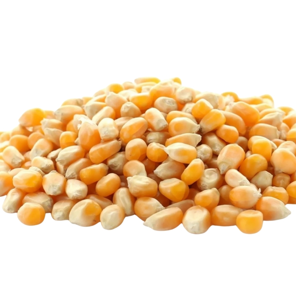[69887] Maïs 500g