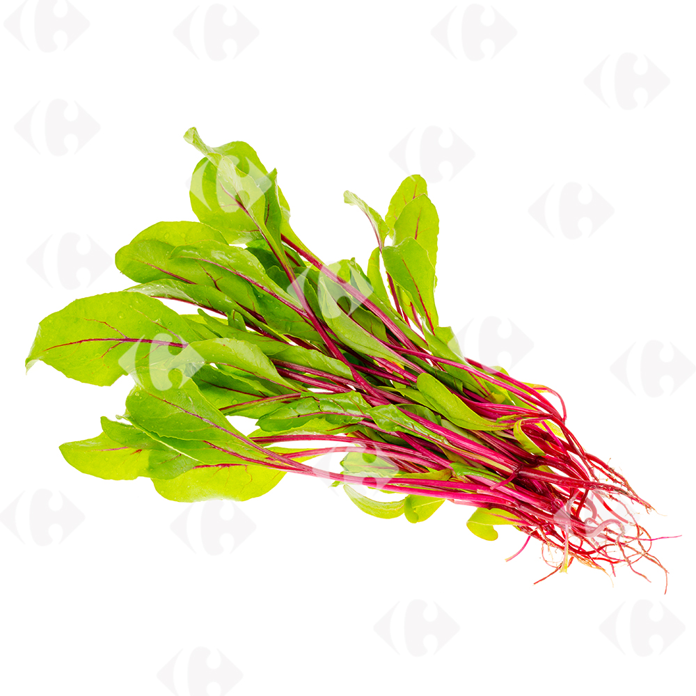 [417027] Pousse de Betterave 250g