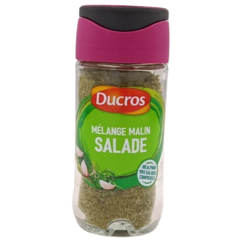 [627928] Mélange Malin pour Salade Ducros 18g