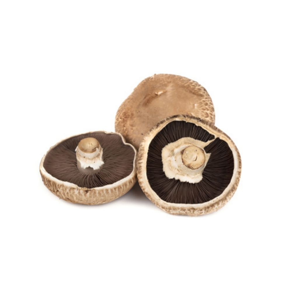 [657429] Champignons Portobello Mincés Barquette 100g
