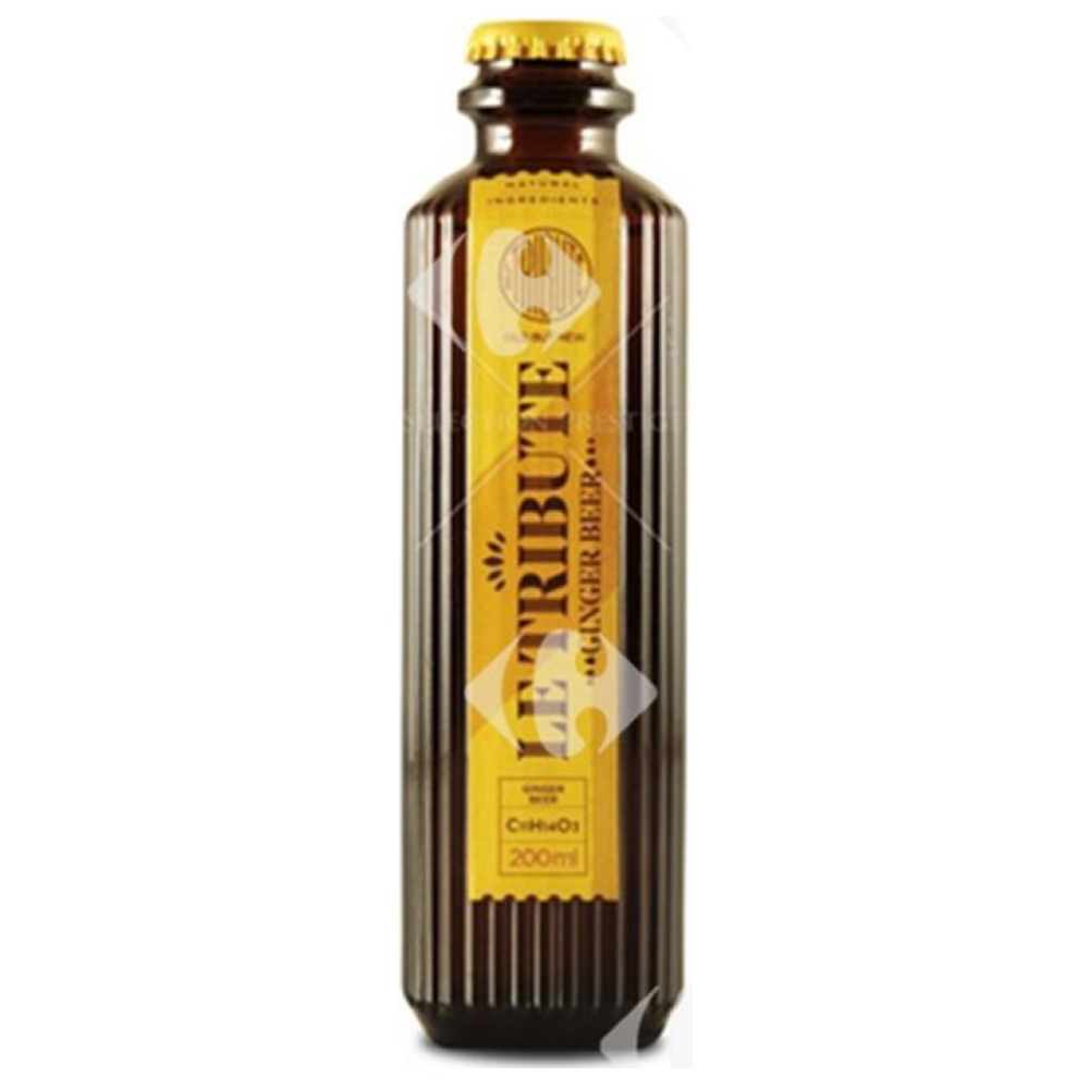 Boisson Spicy Ginger Le Tribute 200ml