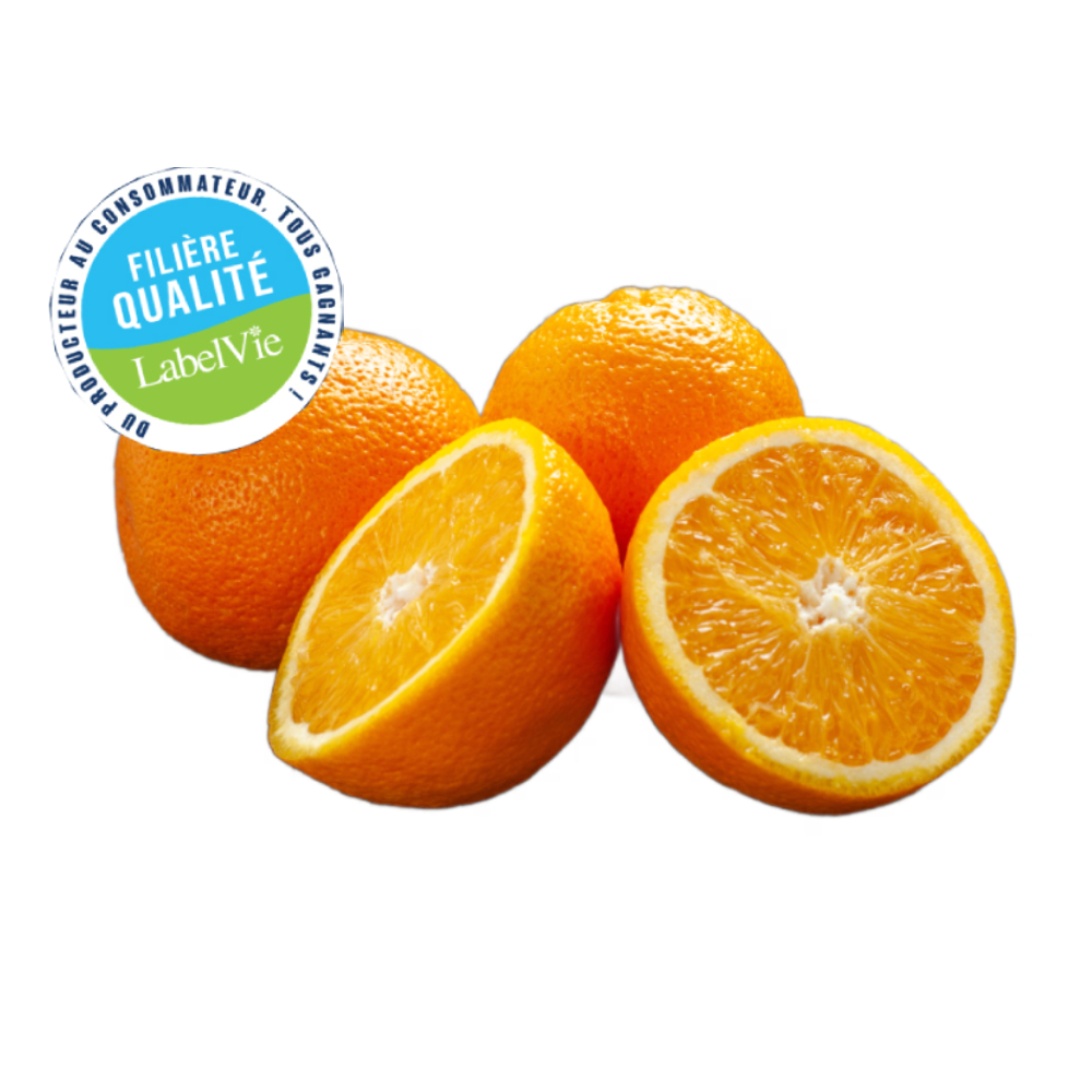 [708939] Orange Navel 500g - Filière Qualité