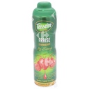 Sirop de Fraise Teisseire 60cl