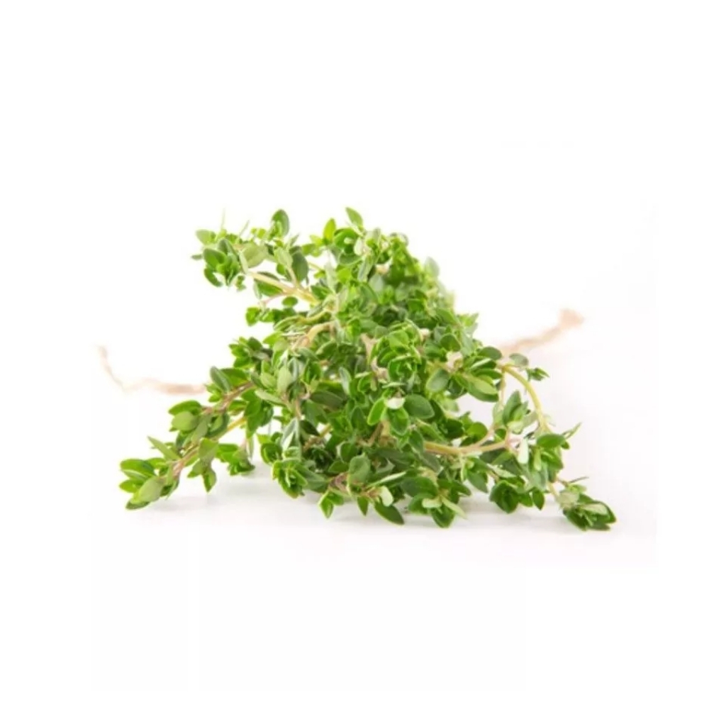 Thym Citron Pot 1 unité