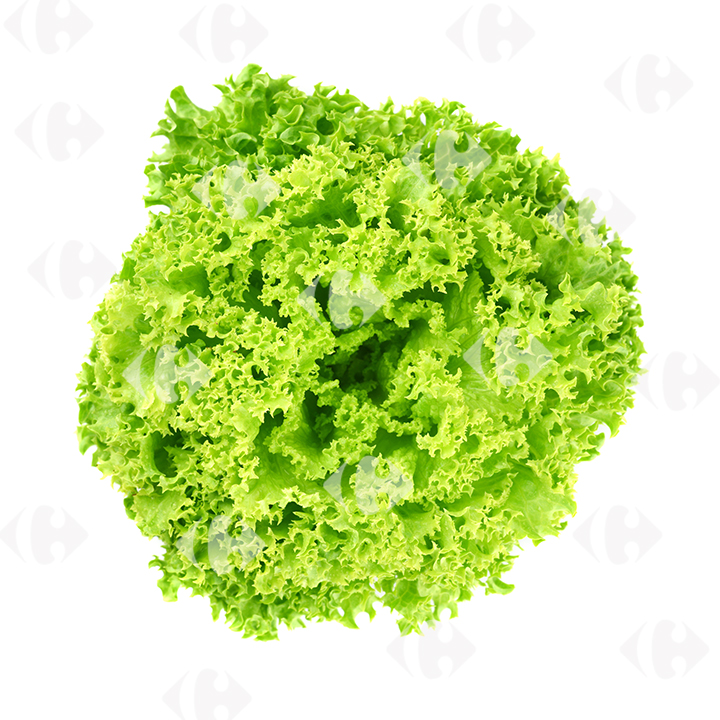Salade lollo Verte à La Pièce.