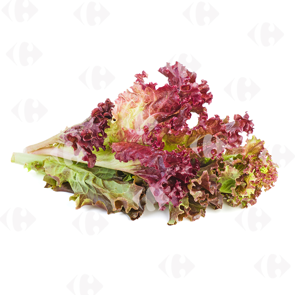 [162290] Salade Lolo Rouge à la pièce.