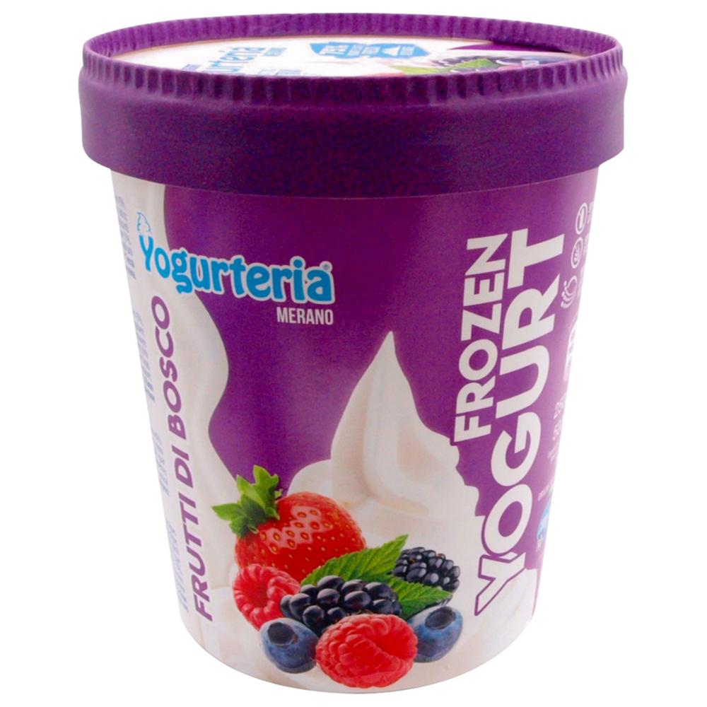 [686677] Pot Yaourt Fruit Rouge Sans Lactose Yogurteria 500ml
