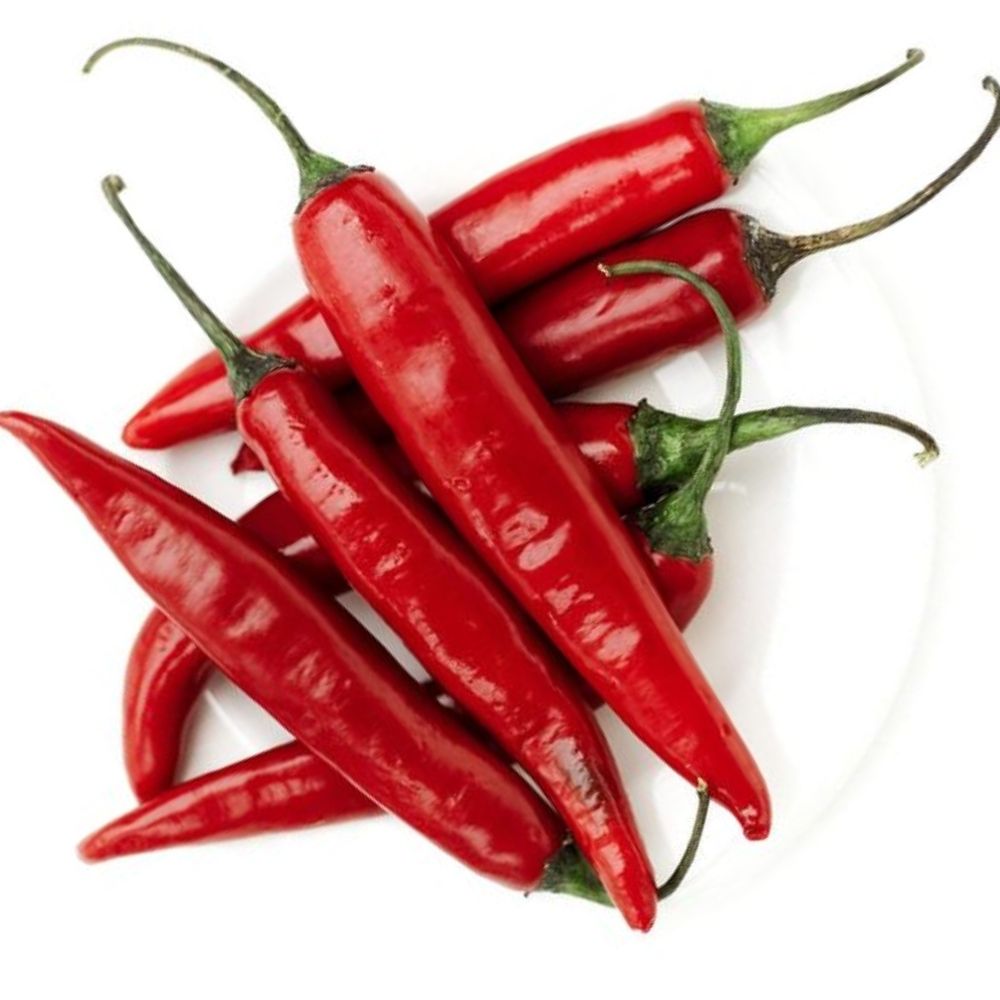Piment Fort Rouge 450g