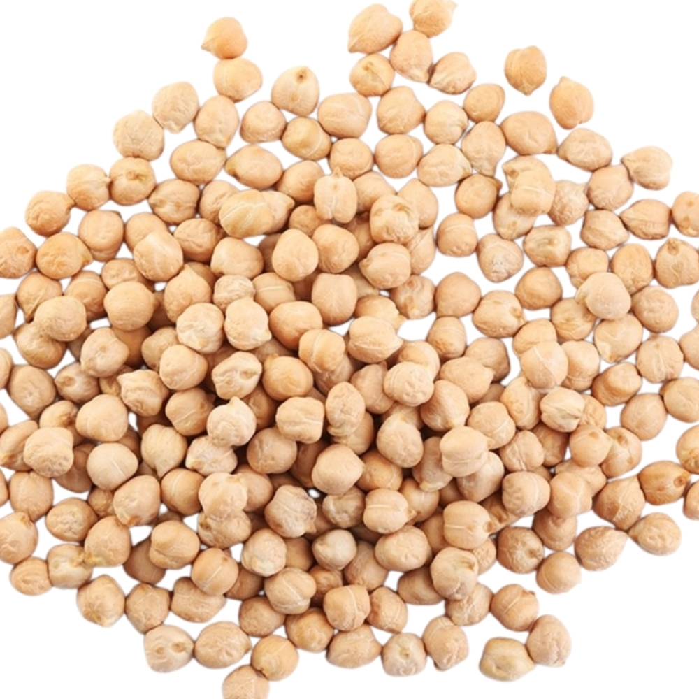 [640490] Pois Chiches Gros Calibre 900g