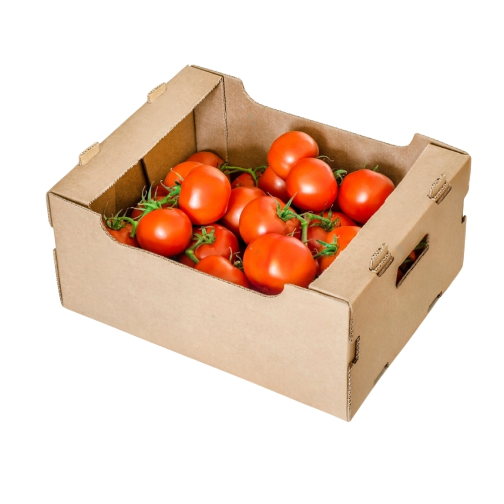 Tomate en Carton 500g