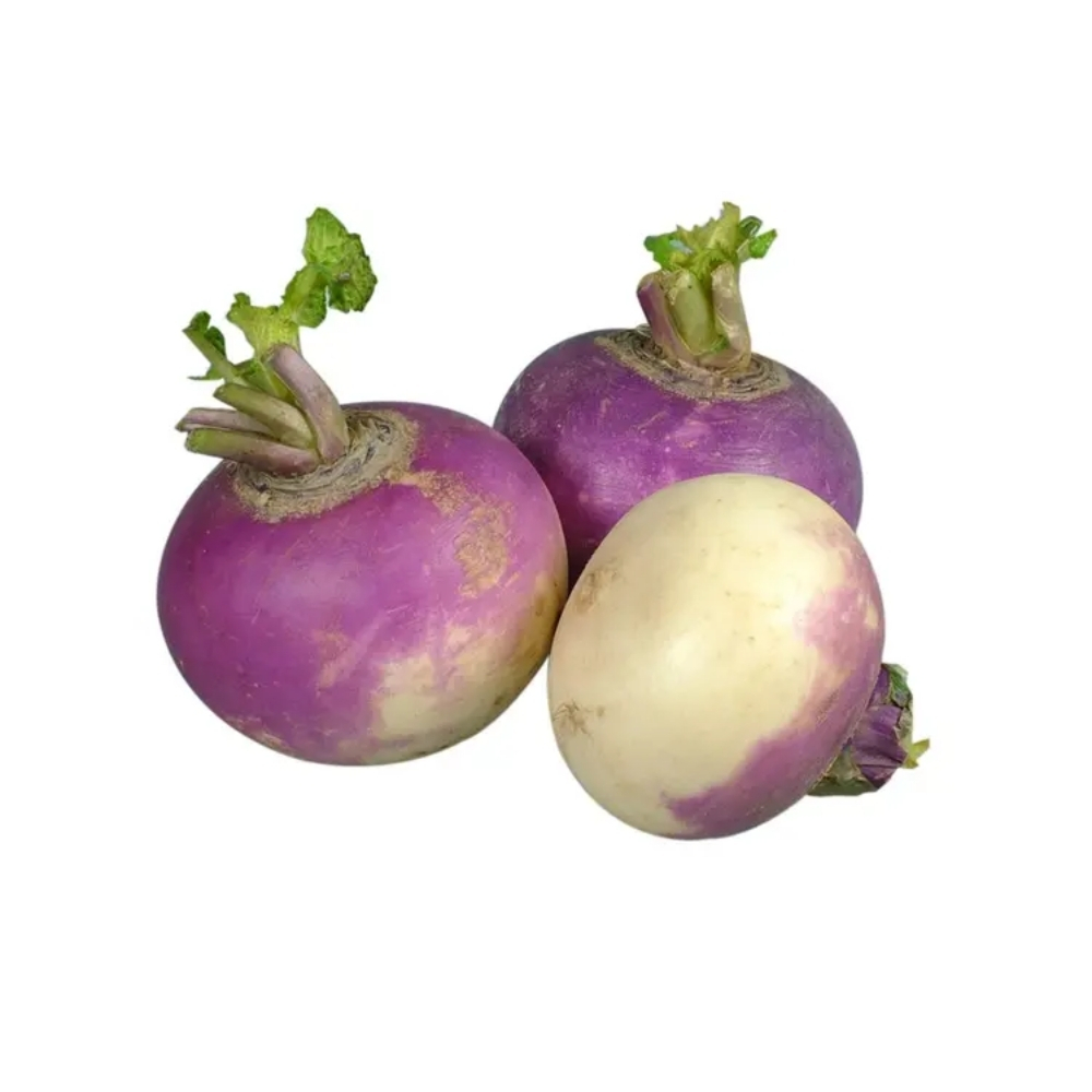 Navet Agro-Écologique 500g