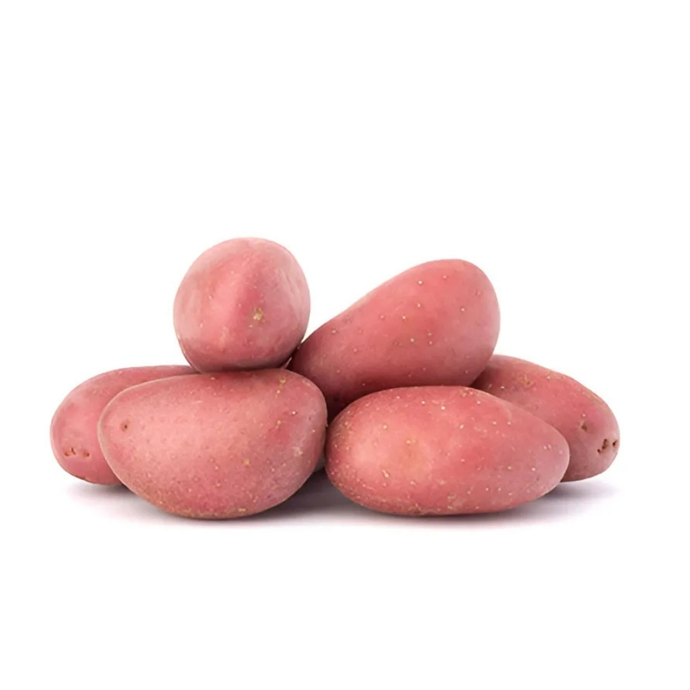 [210195] Pomme de Terre Rouge 500g