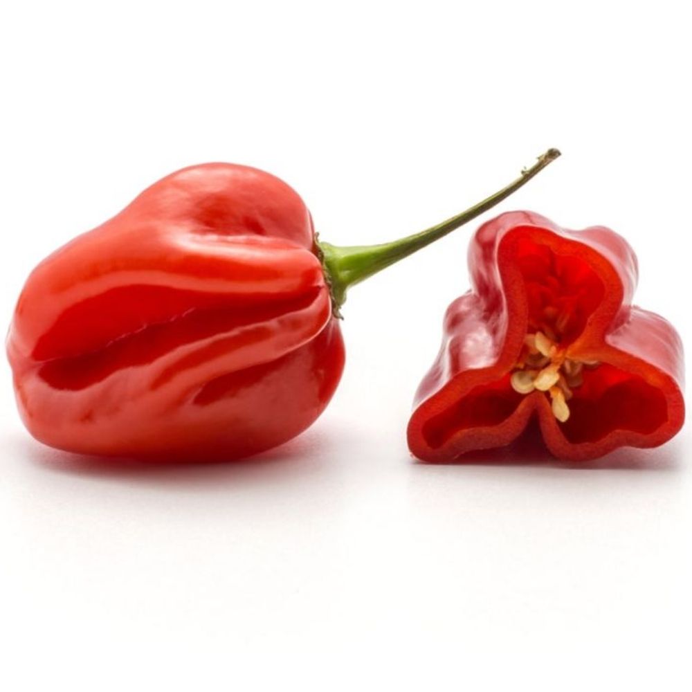 [586468] Piment Habanero en Barquette 180g
