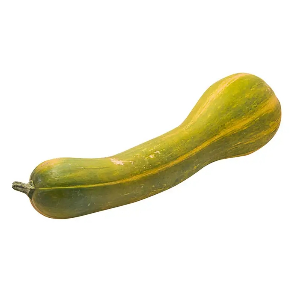Courge de Nice 500g