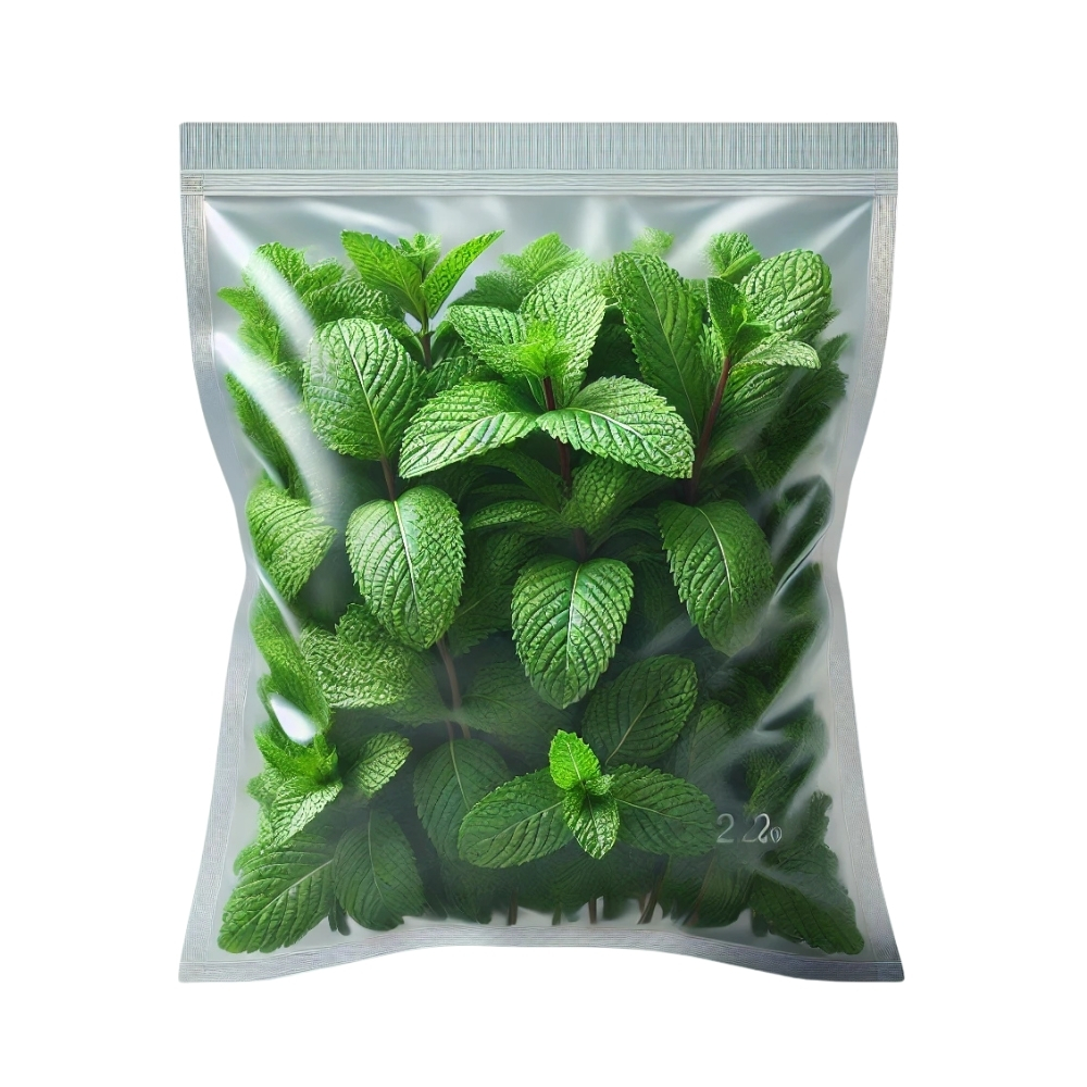 Menthe Sachet 1 unité