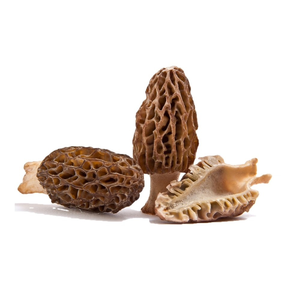 Morilles Fraîches 500g