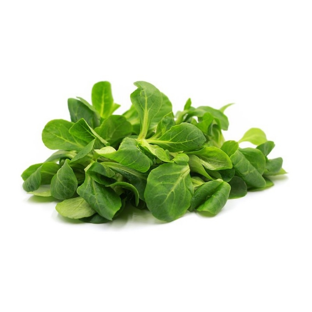 Mâche 100g