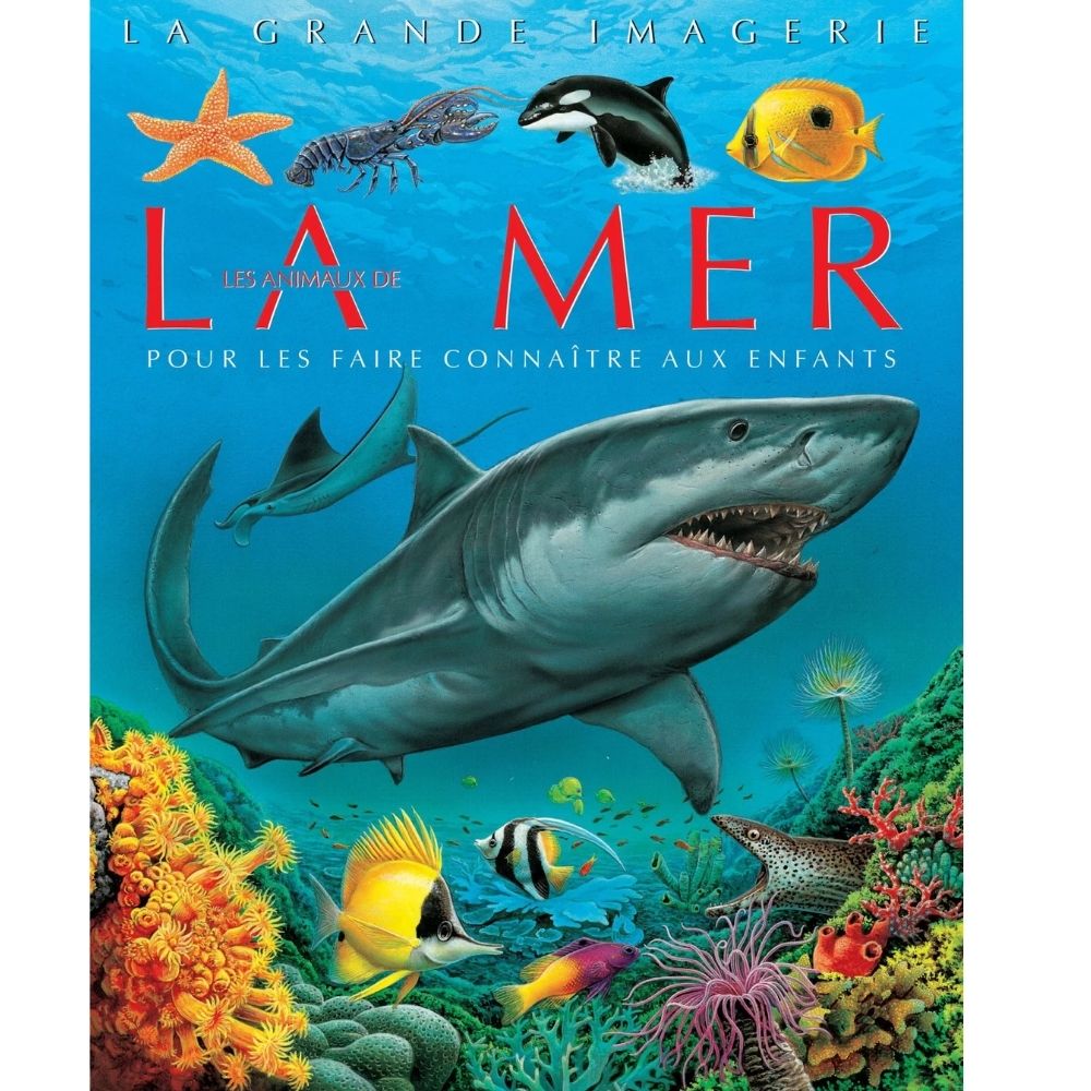 [639606] La Grande Imagerie : Les Animaux de La Mer