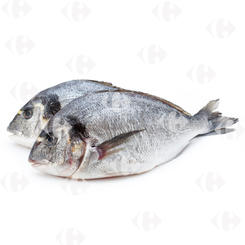 [699347] Pageot Élevage 600g-1kg