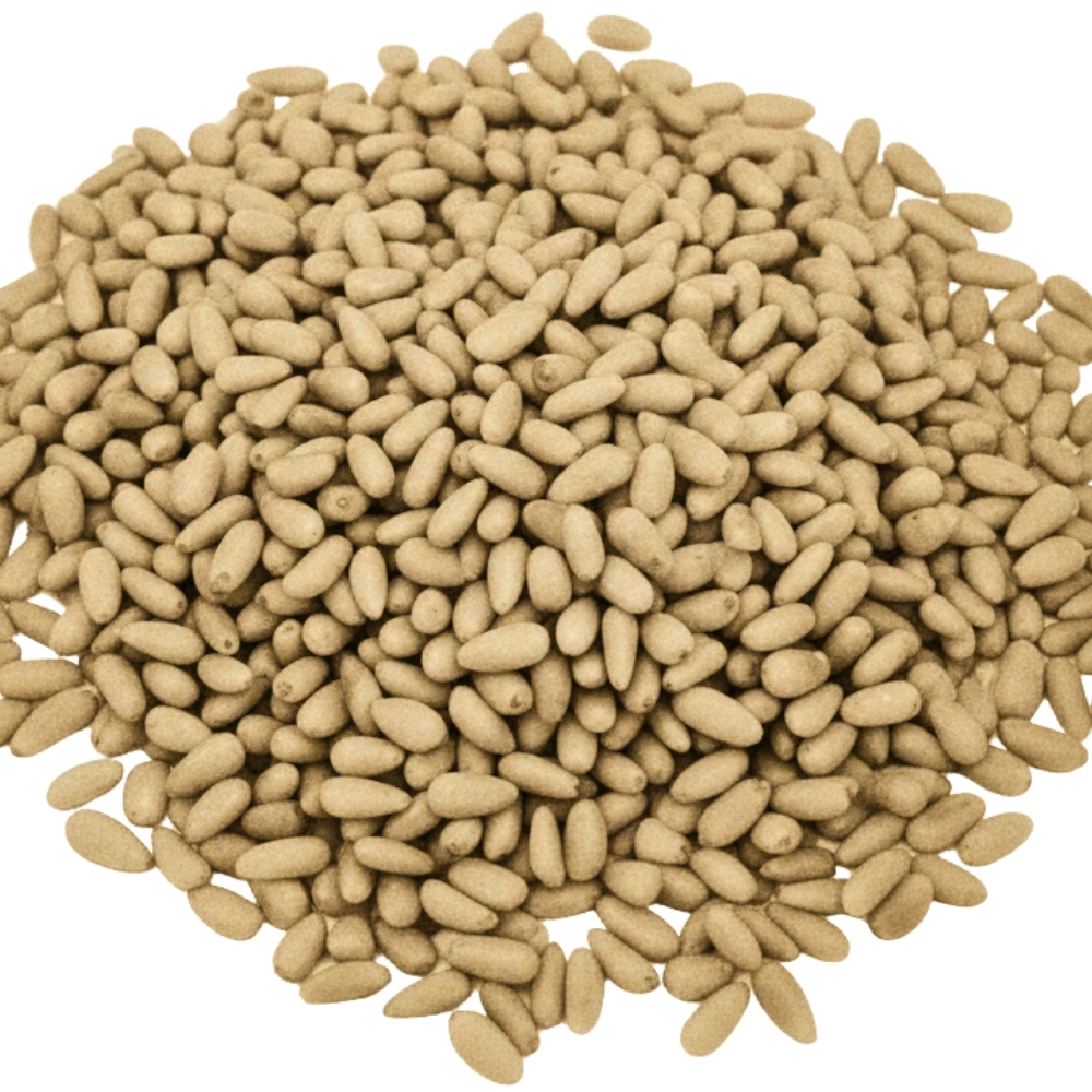 Pignons de Pin 200g