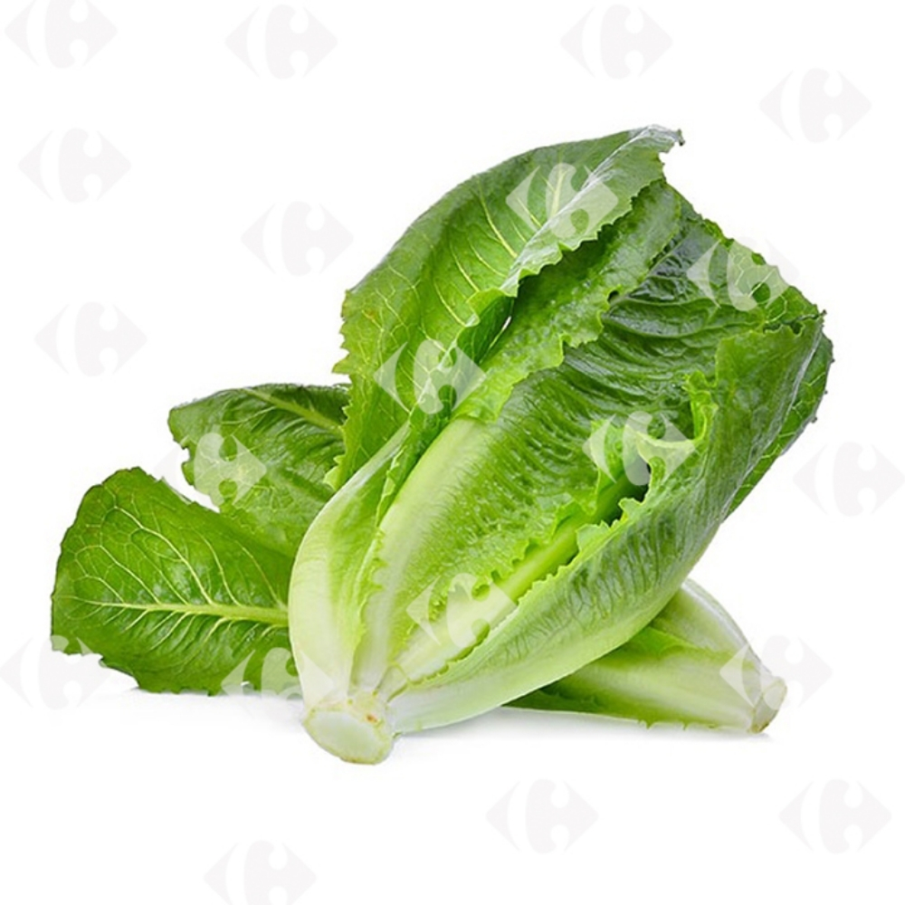 Laitue Romaine Bio à la Pièce