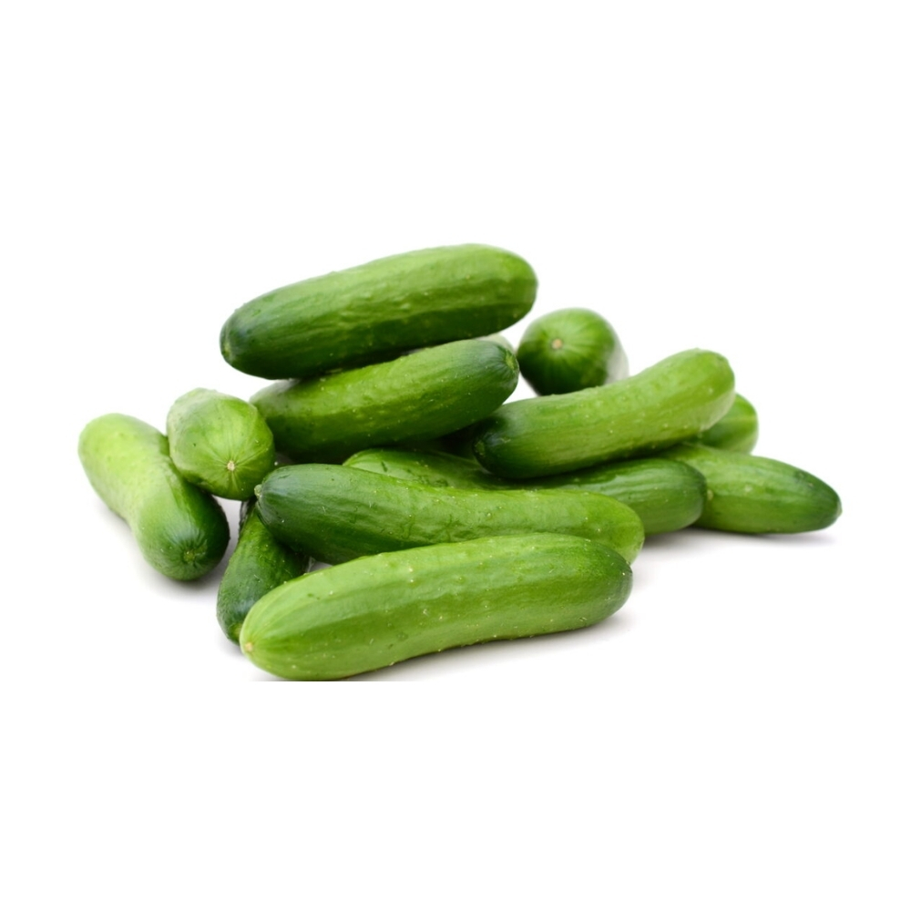 Mini Concombre Barquette 500g