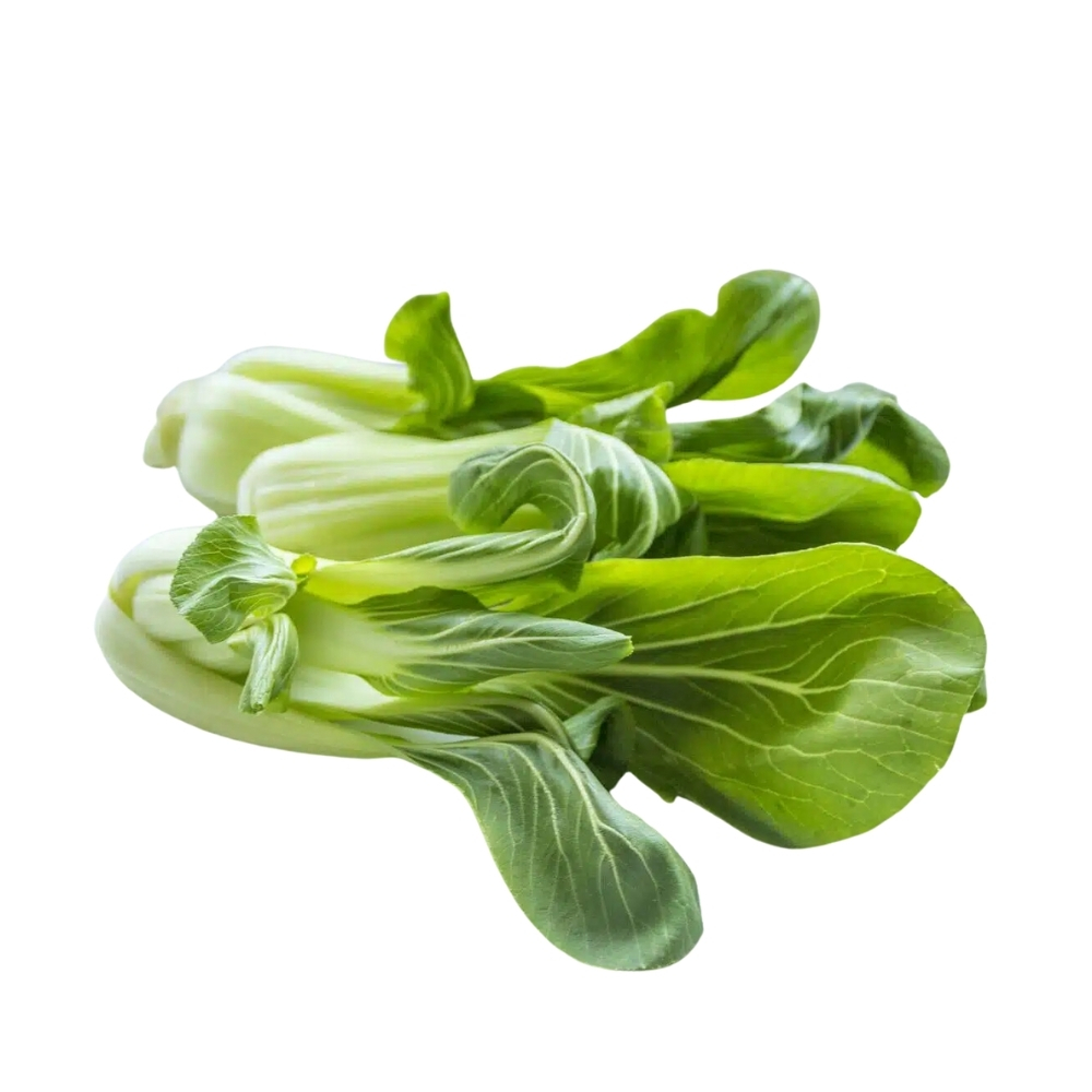 [660713] Jeunes Pousses de Chou Chinois Pak Choi en Barquette Plastique 1 unité