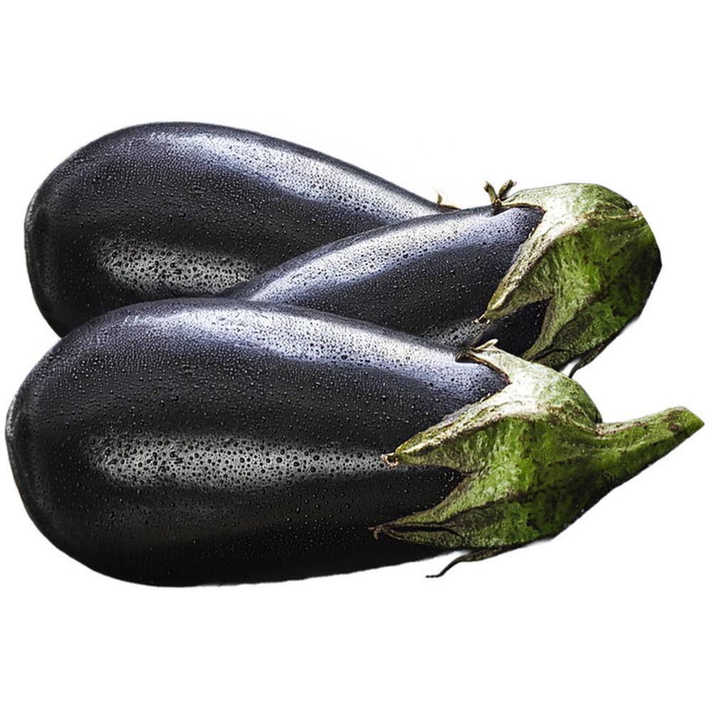 [74316] Aubergine 500g