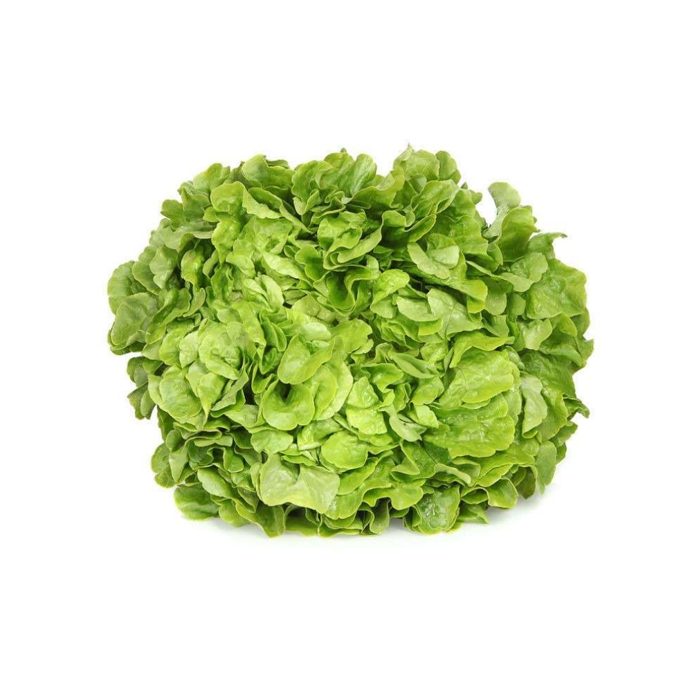 Salade Feuille de Chêne Hussarde à la Pièce
