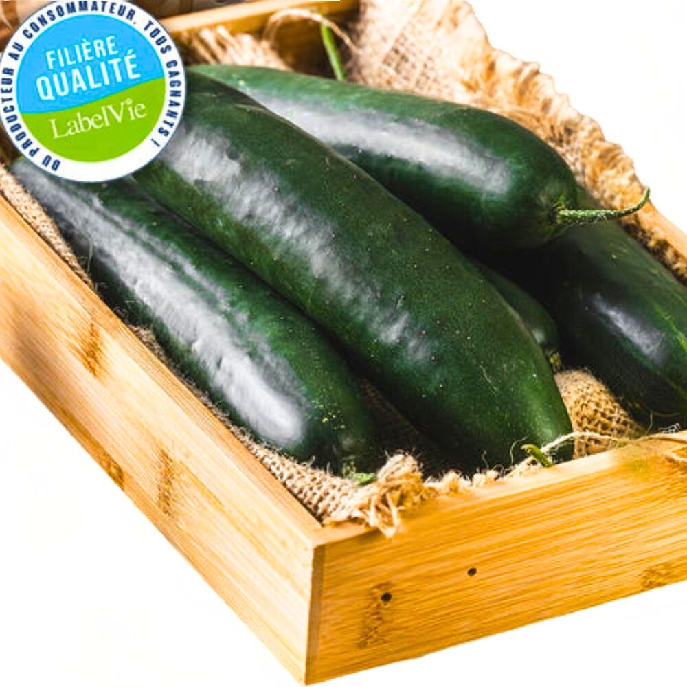 [708944] Concombre 500g - Filière Qualité.