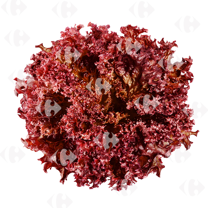 [508080] Salade lollo Rouge à La Pièce.