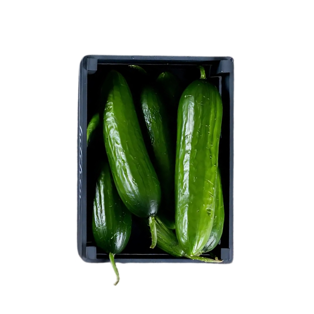[574860] Concombre Barquette 500g