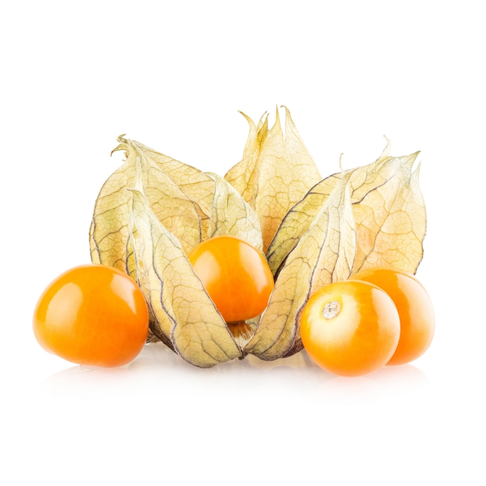 [382632] Physalis Barquette 100g