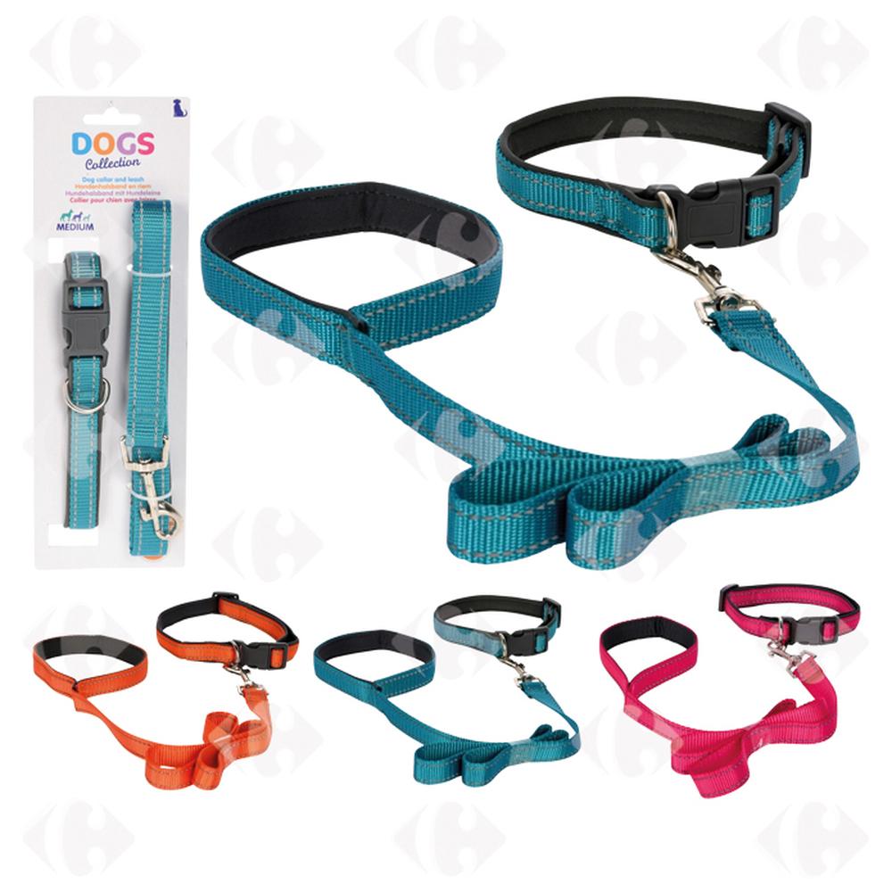 Collier pour Chien avec Laisse (couleur aléatoire)