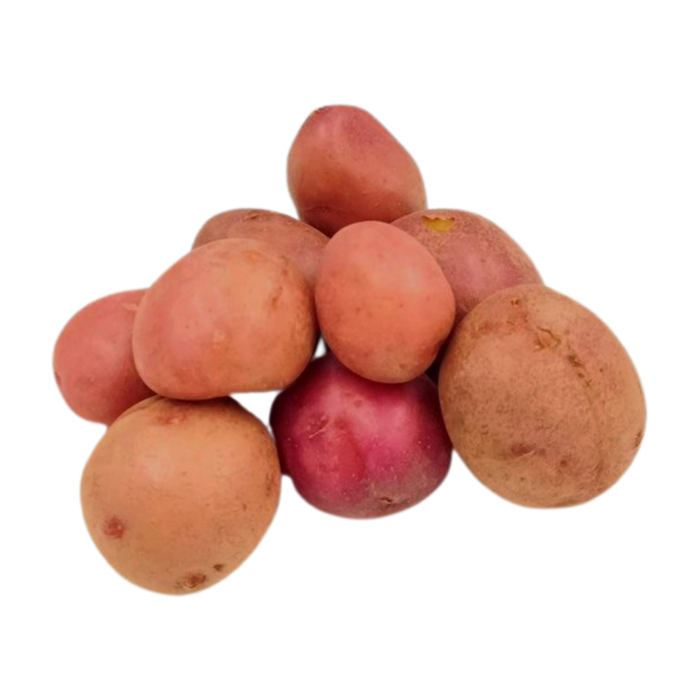[8929] Pomme de Terre Sautée Rouge 500g