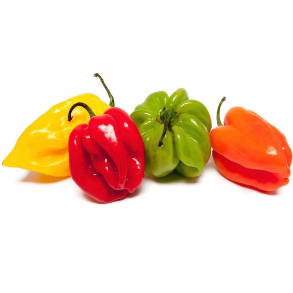 [586484] Piment Antillais en Barquette150g