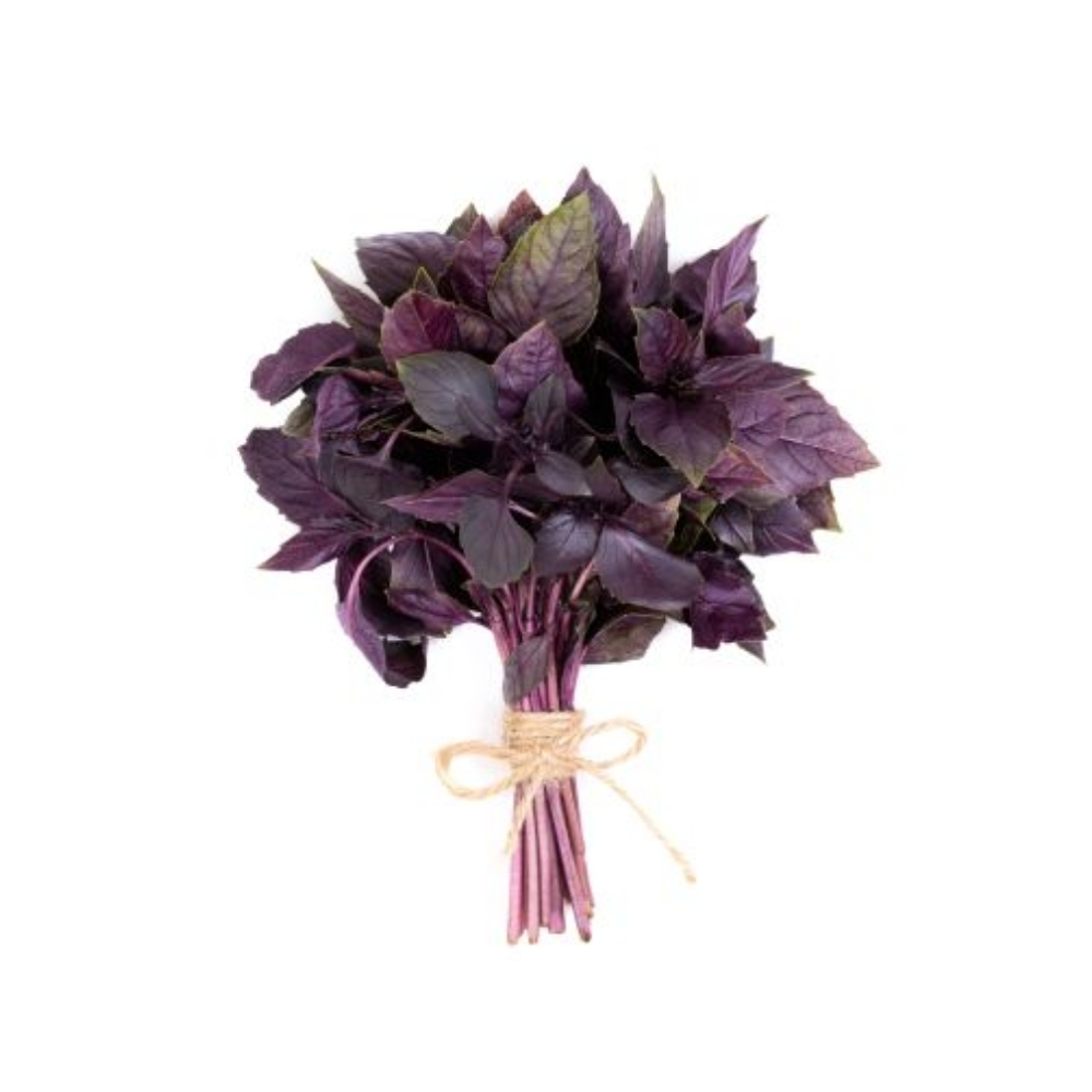 Basilic Rouge en Barquette 25g