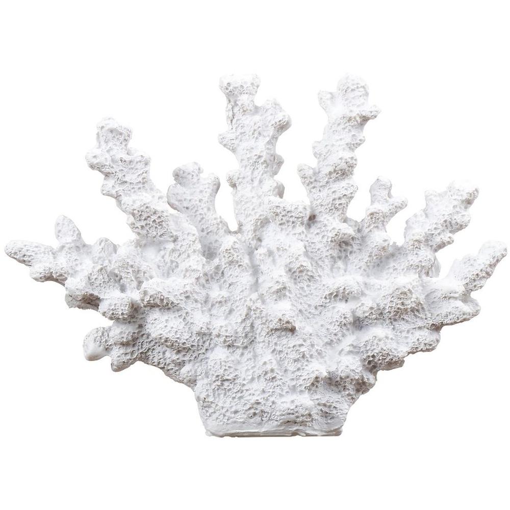 [716465] Corail Blanc Kasa 13x5 cm