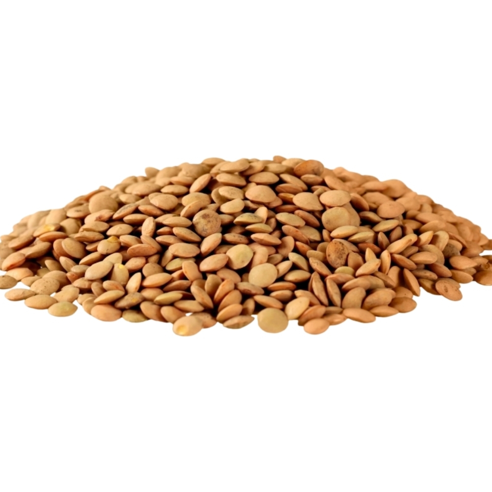 Lentilles Extras 900g